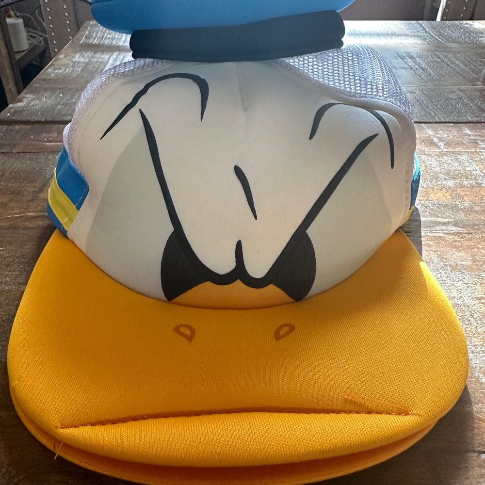 Donald Duck hat